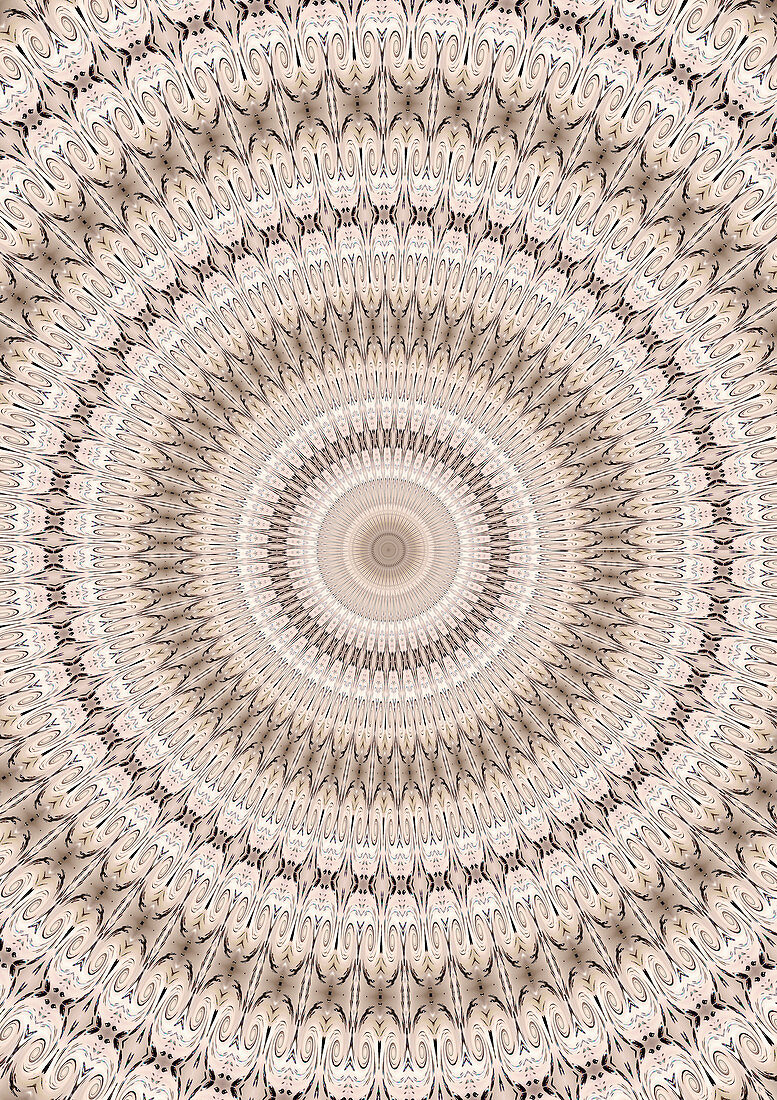 Neutral concentric pattern, illustration