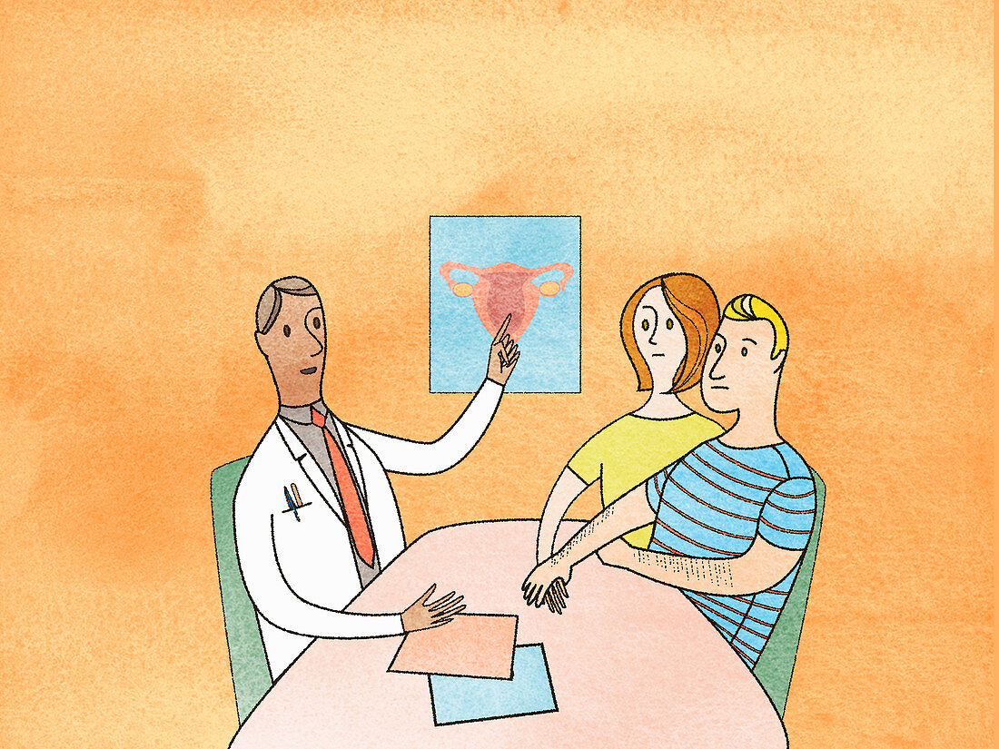 Doctor explaining fertility problem, illustration