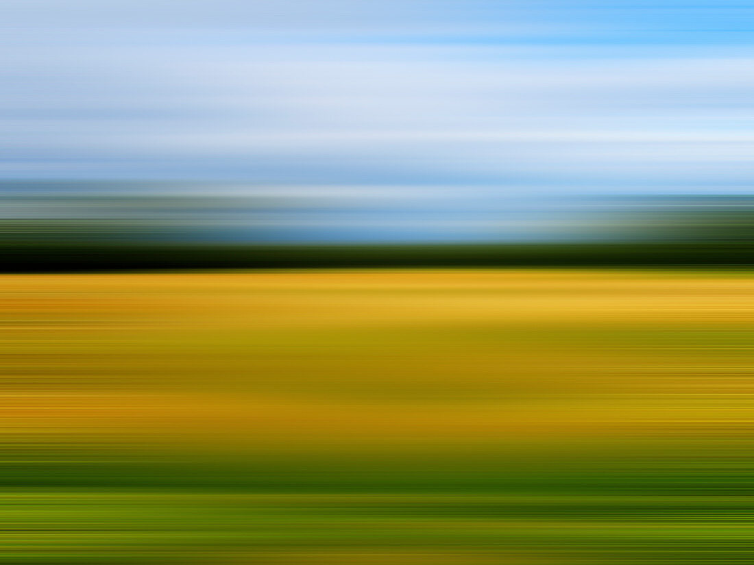 Blurred view of wheat field, illustration