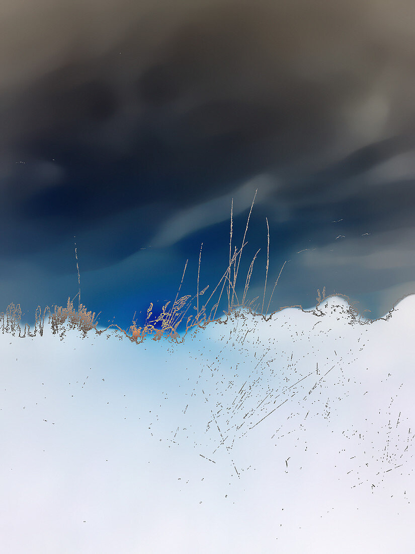 Abstract grass against overcast sky, illustration