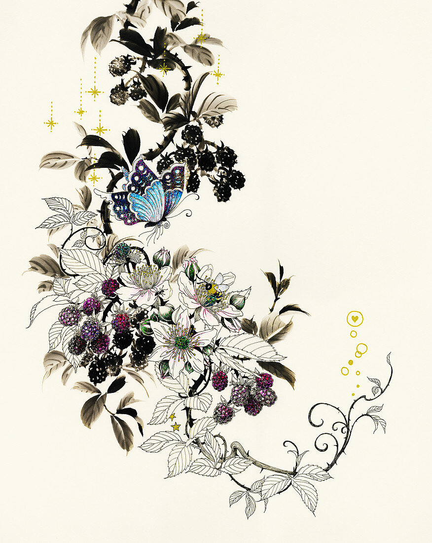 Butterflies on blackberry bush, illustration