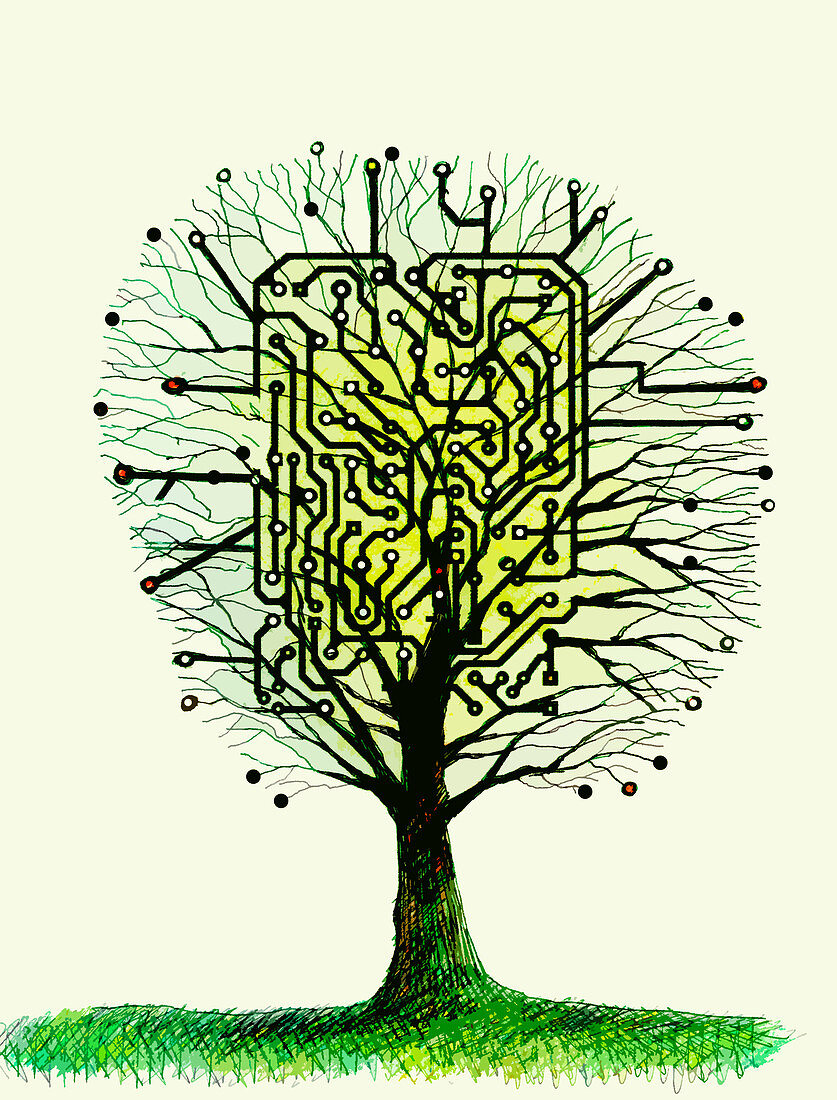 Circuit board tree, illustration