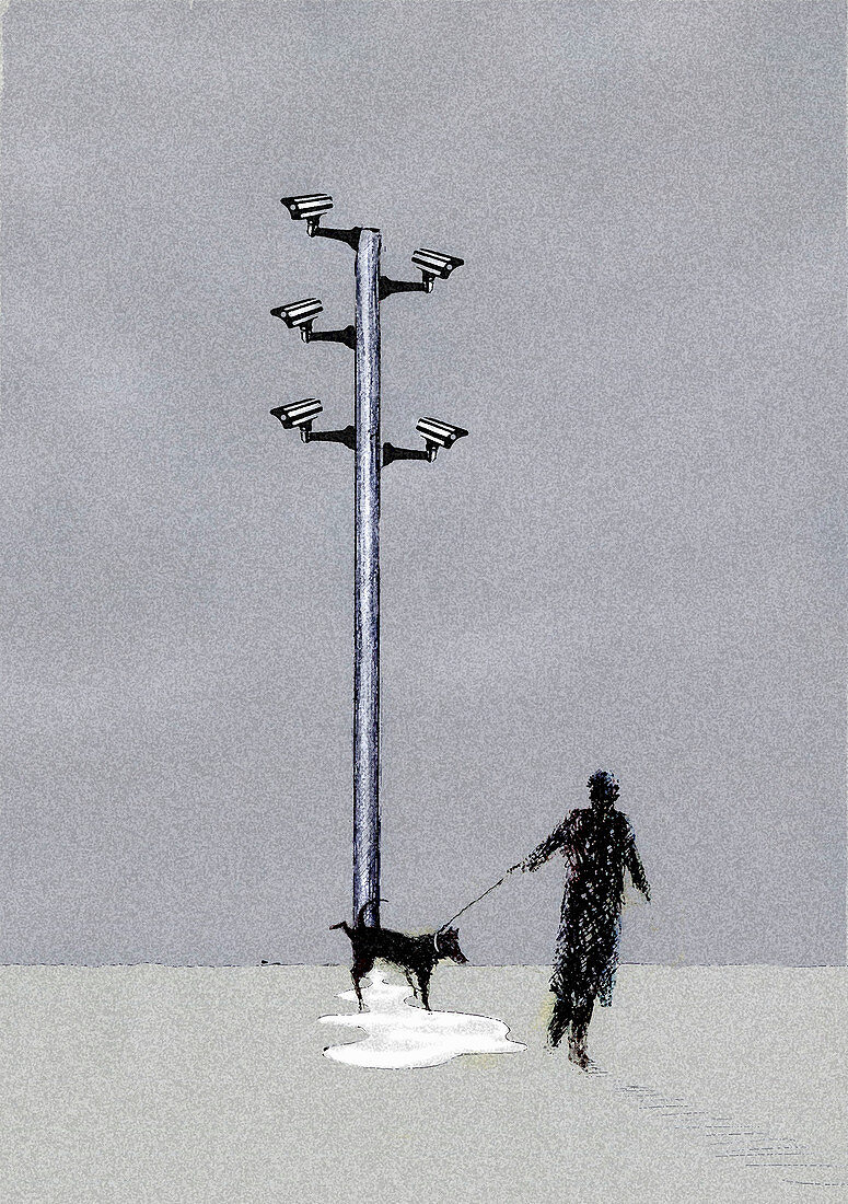 CCTV cameras above man and urinating dog, illustration