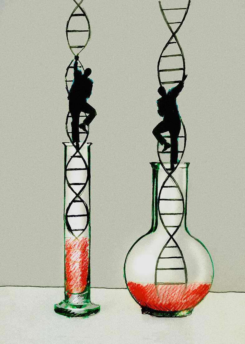 Businessmen climbing double helix ladders, illustration