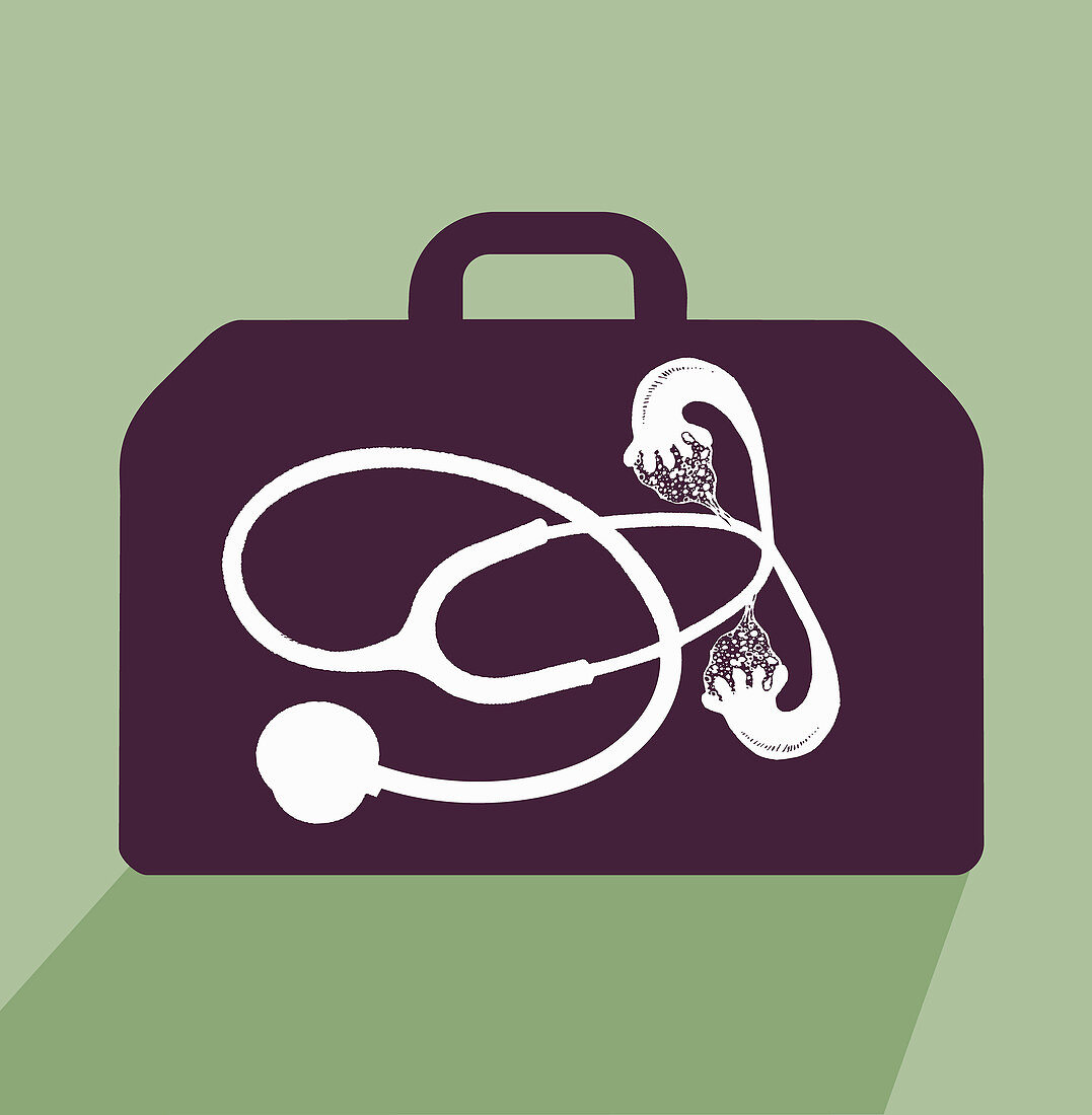 Stethoscope with fallopian tubes in briefcase, illustration
