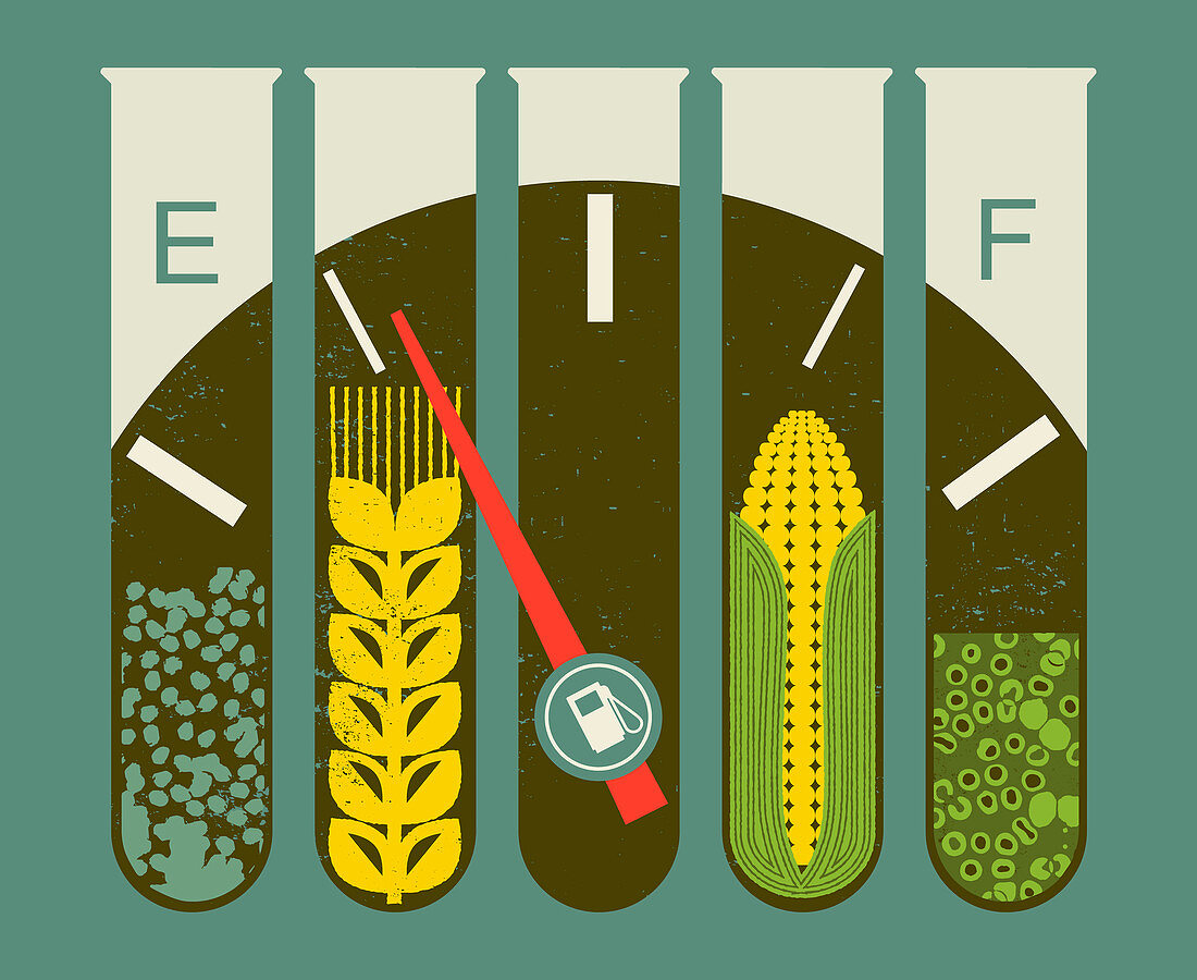 Test tubes containing corn and wheat, illustration