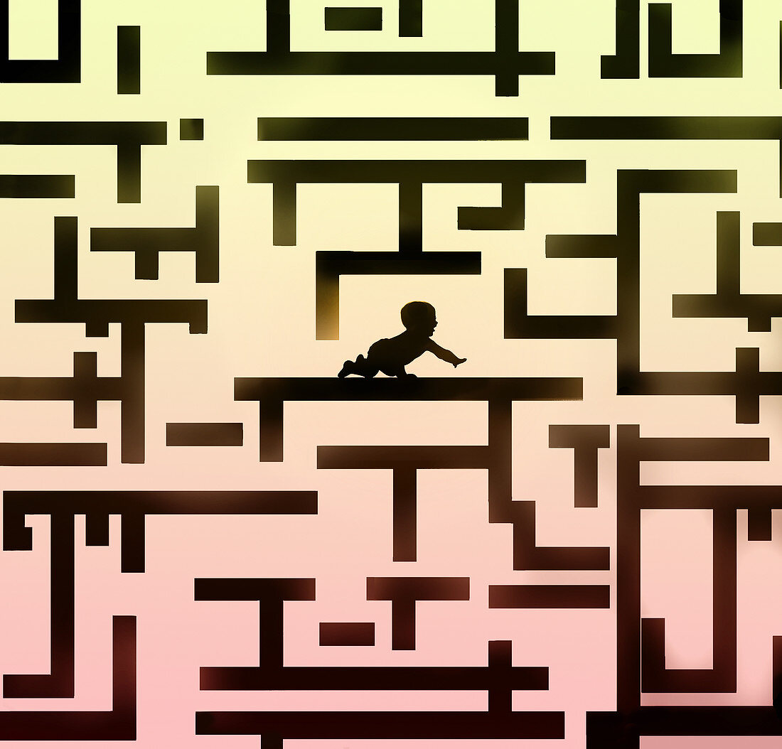 Baby crawling in maze, illustration