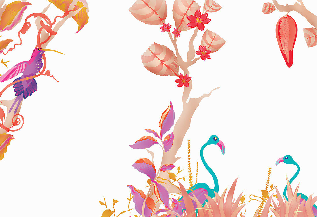 Flowers, vines and birds, illustration