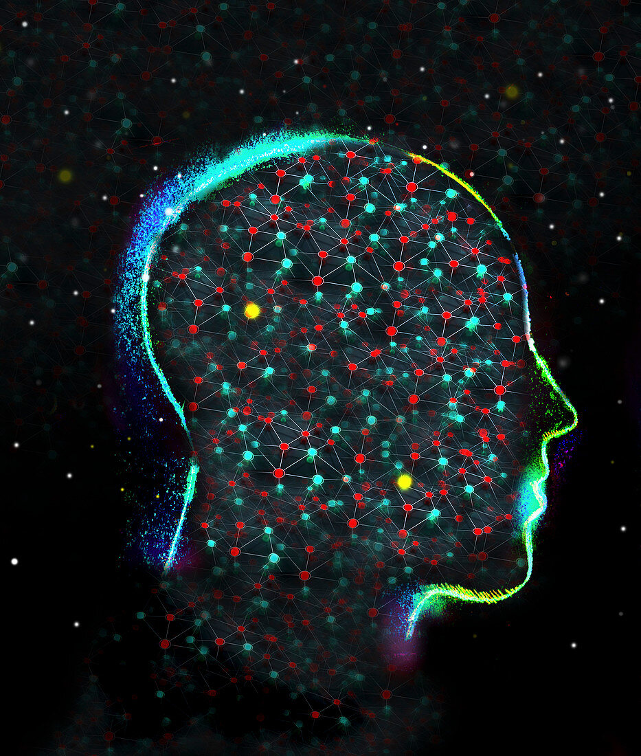 Network of dots inside of human head profile, illustration