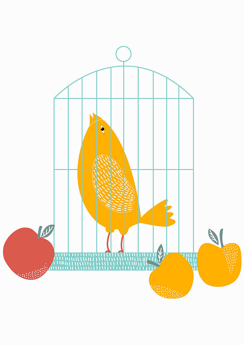 Fruit beside birdcage with singing bird inside, illustration