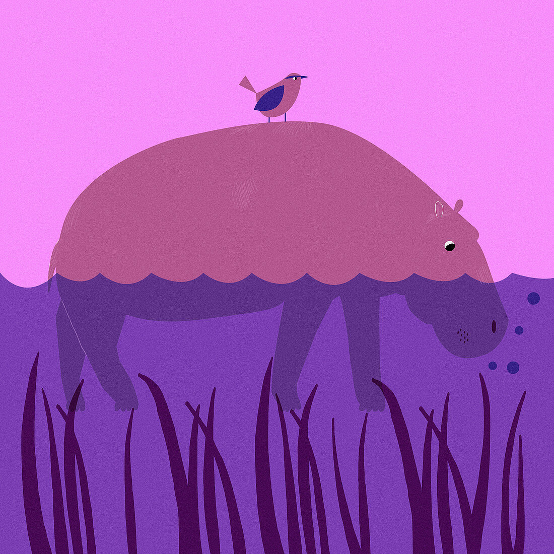 Bird on hippopotamus in river, illustration