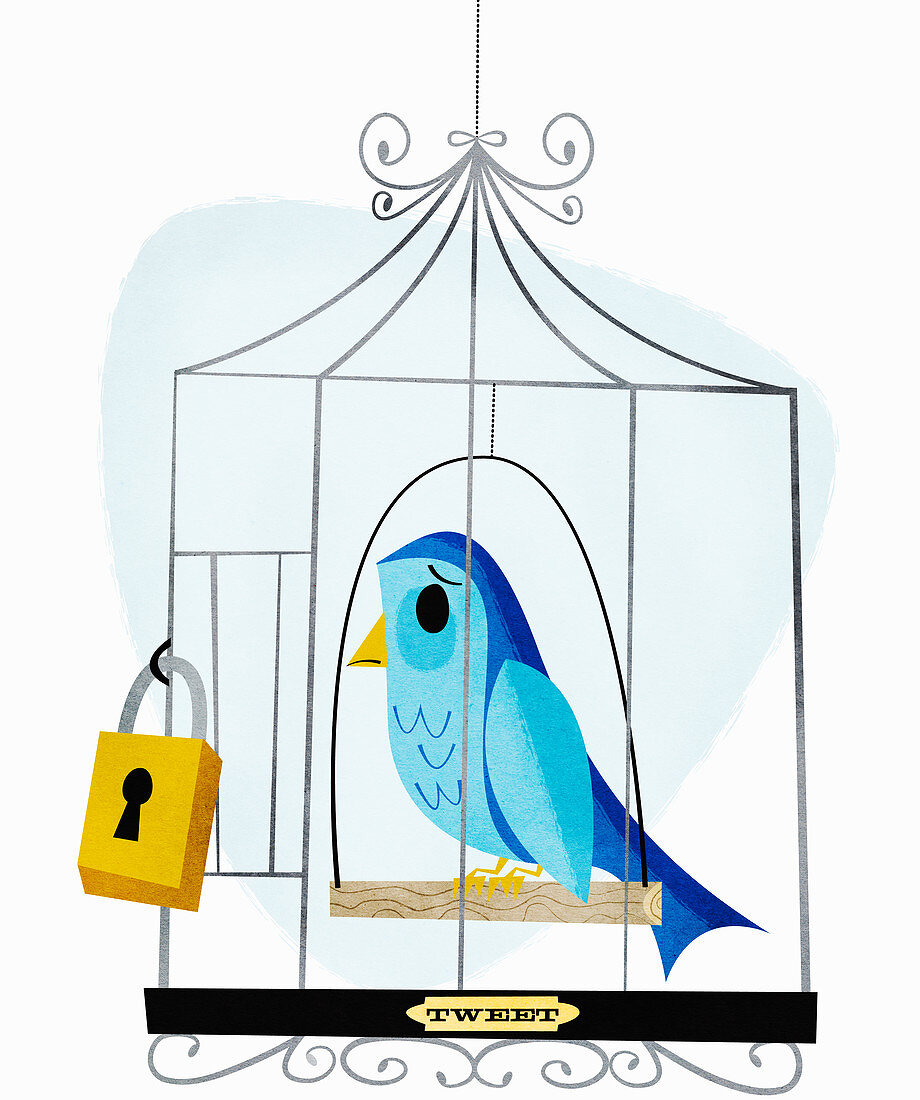 Padlock on birdcage containing sad bird, illustration
