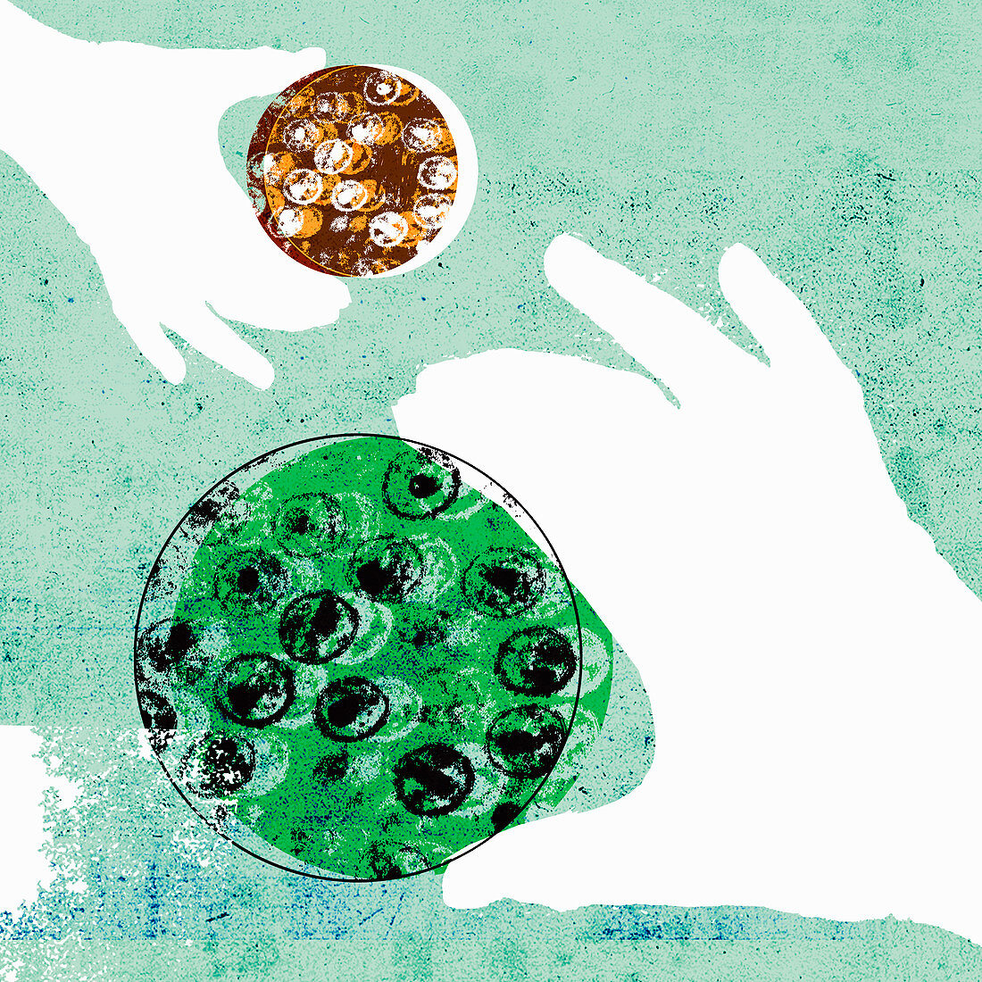 Close up of hands holding petri dishes, illustration