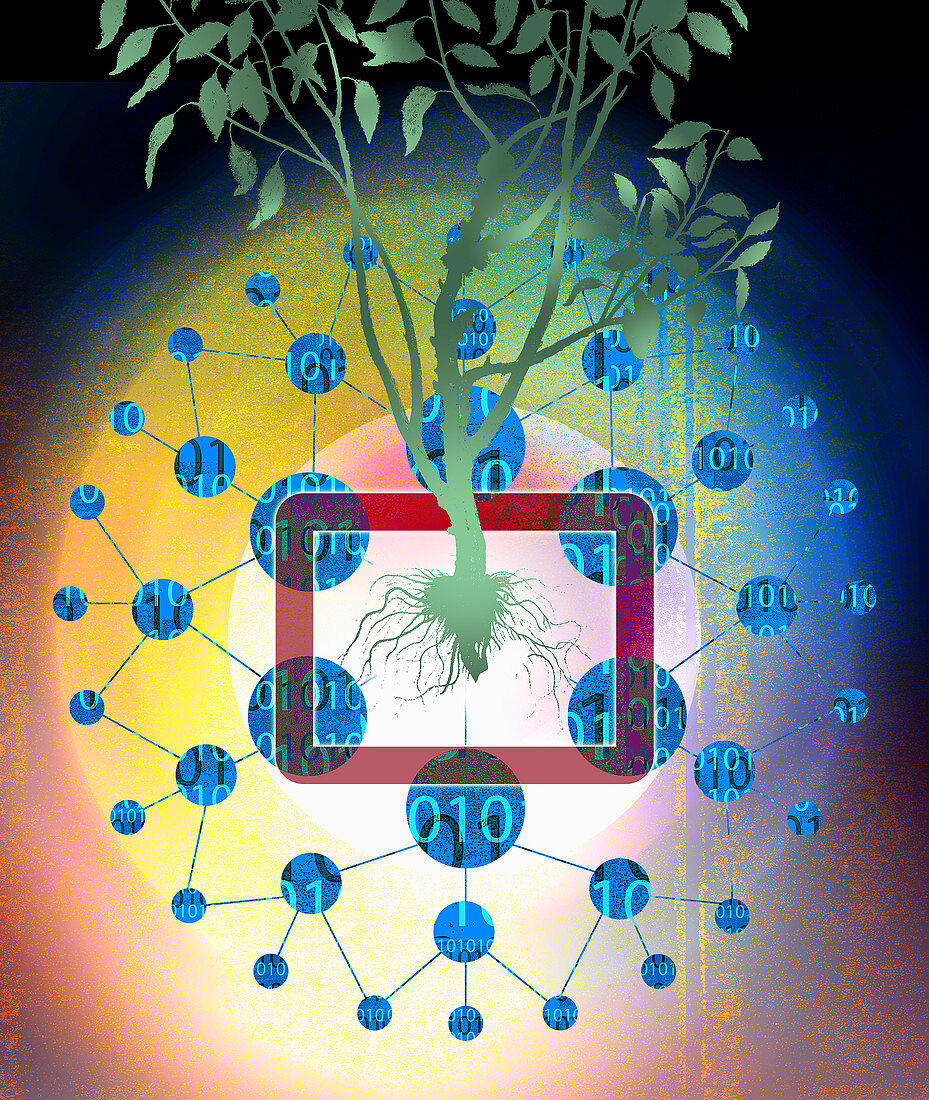 Binary code data around tree, illustration