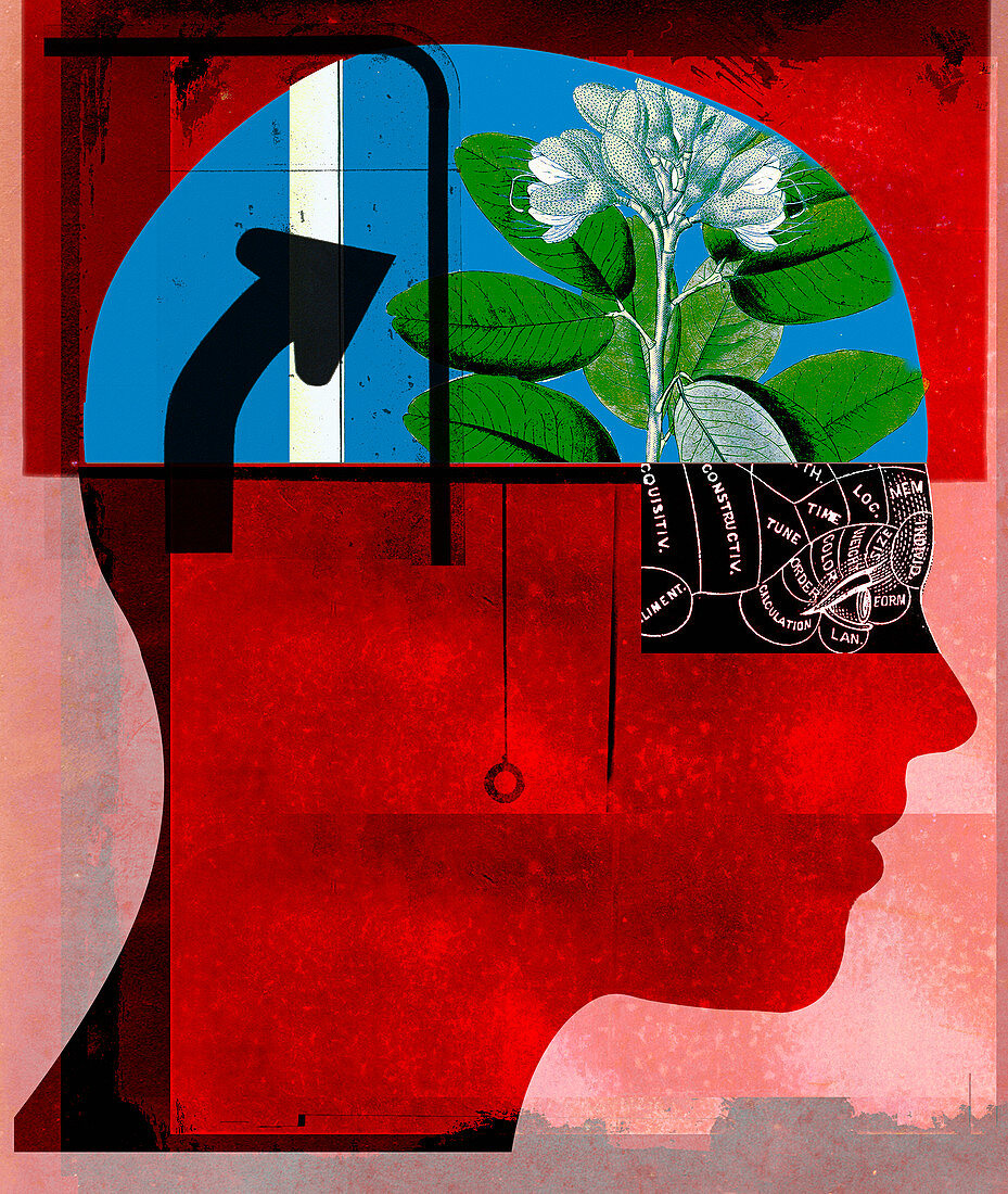 Flower growing inside of human head, illustration