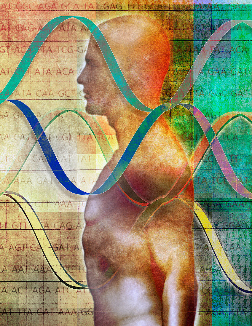 Human body with helix pattern, illustration