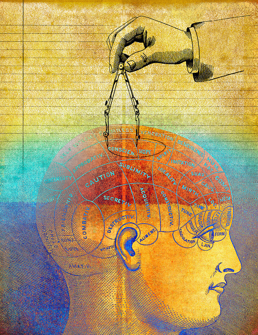 Hand measuring phrenology head, illustration