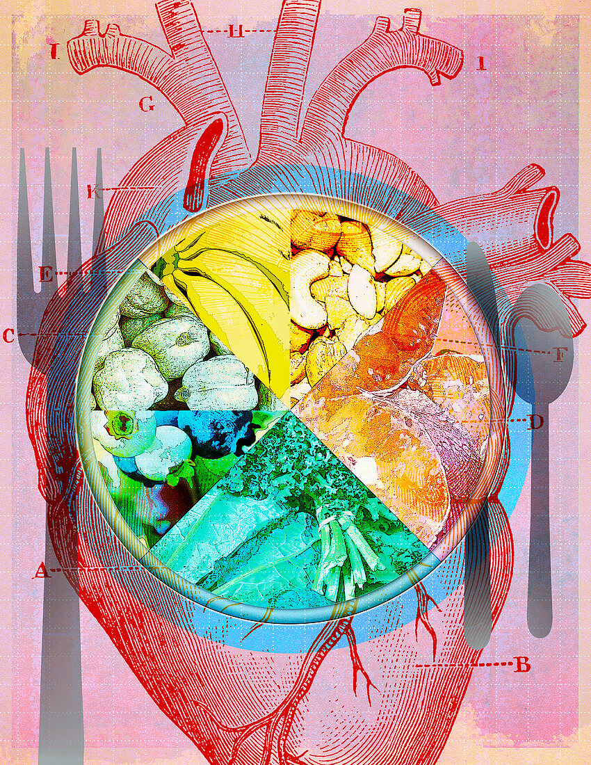 Plate of different types of healthy food, illustration