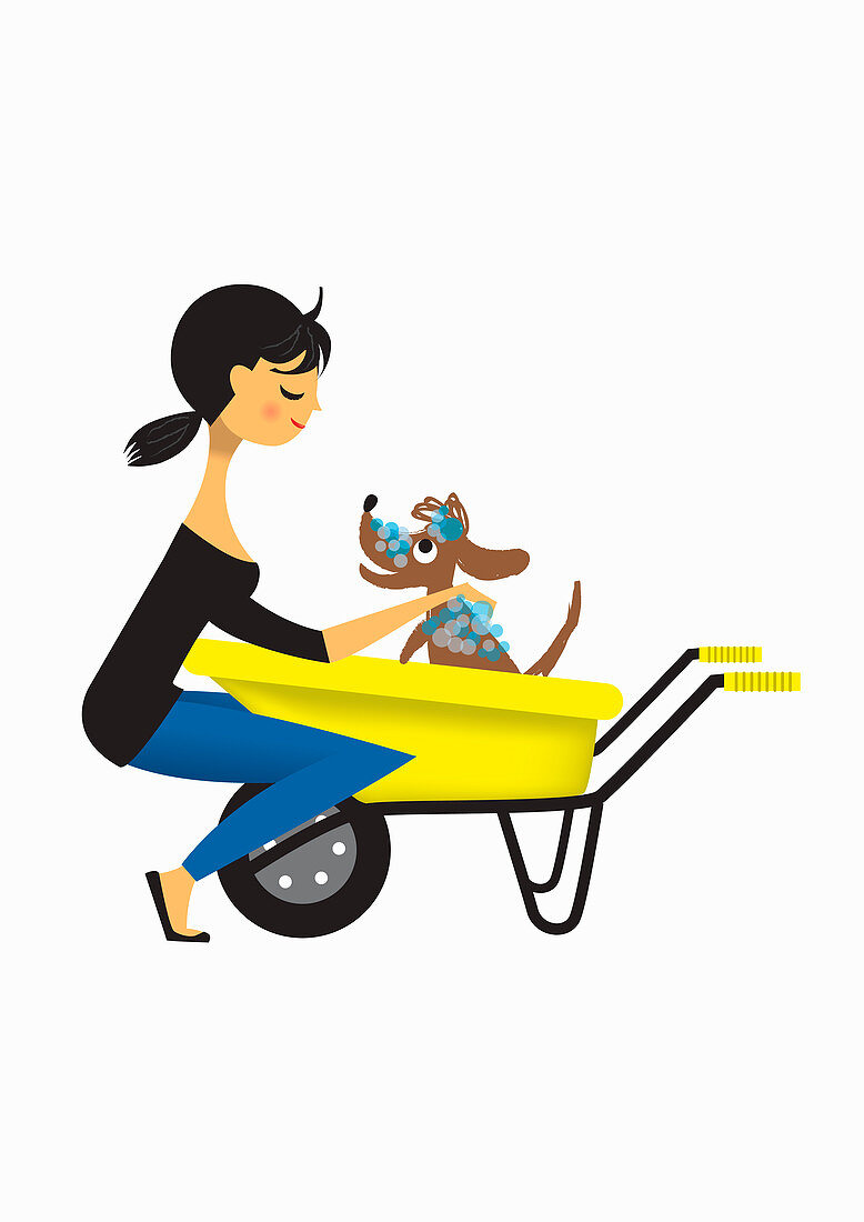 Woman washing dog in wheelbarrow, illustration