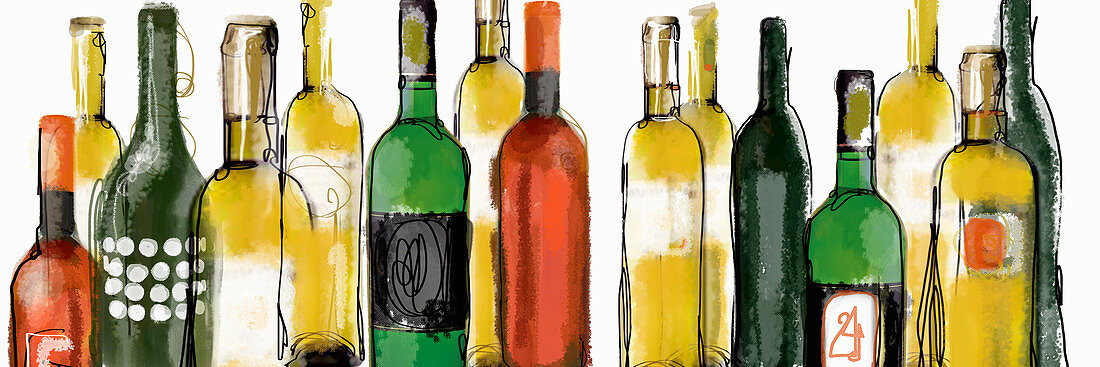 Various wine bottles, illustration