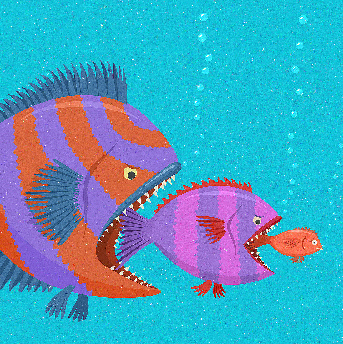 Fish food chain, illustration