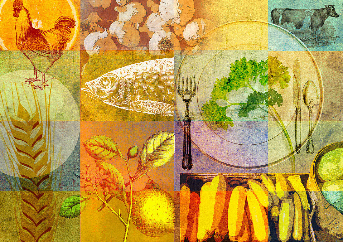 Collage of healthy food and place setting, illustration