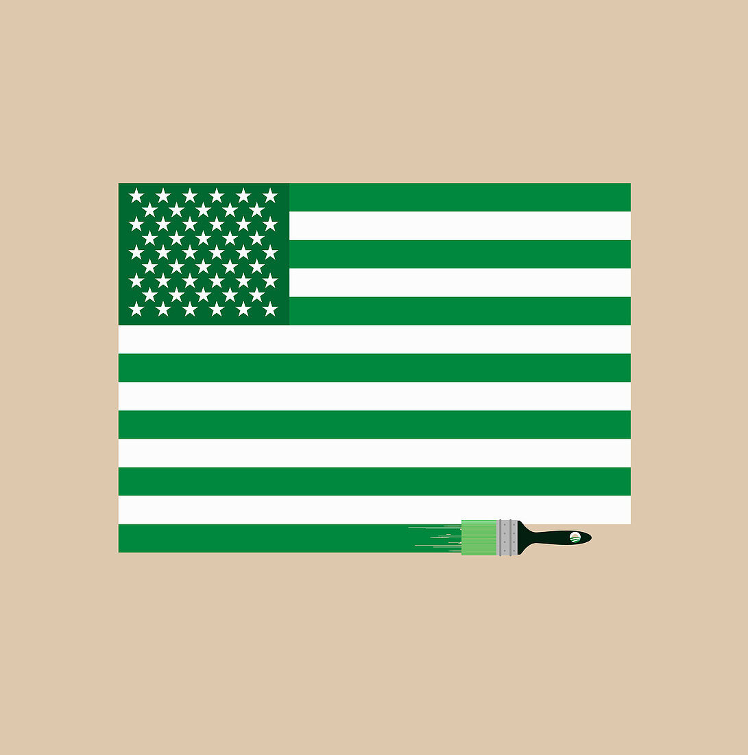Paintbrush painting American flag green, illustration