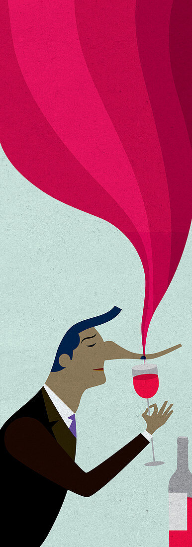 Man with long nose smelling red wine, illustration