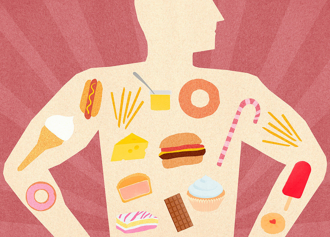 Variety of unhealthy food inside of man's body, illustration