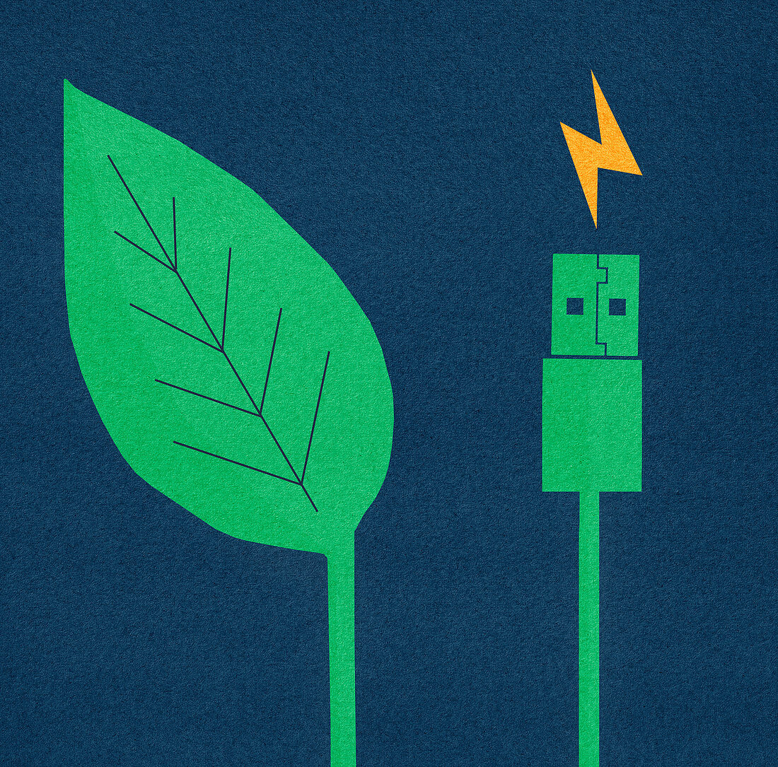 Green leaf next to electric usb cable and plug, illustration