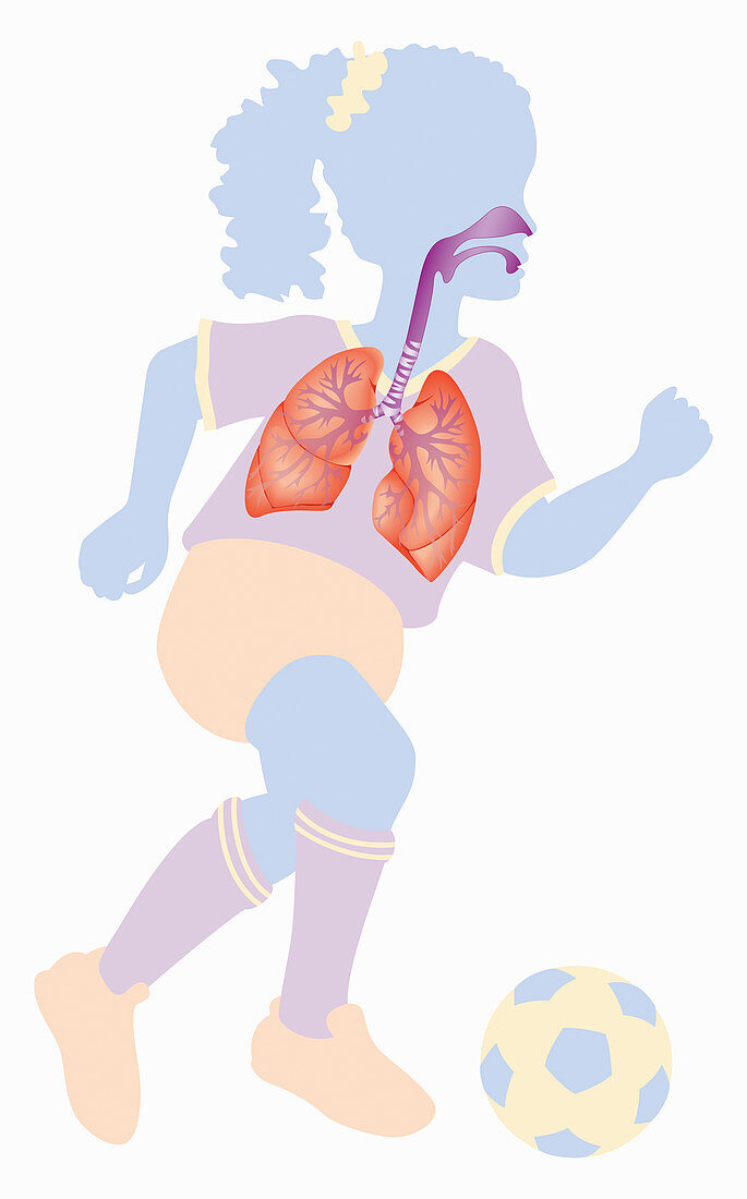 Respiratory system of girl playing football, illustration