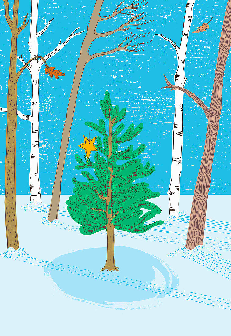 Christmas tree in woods, illustration