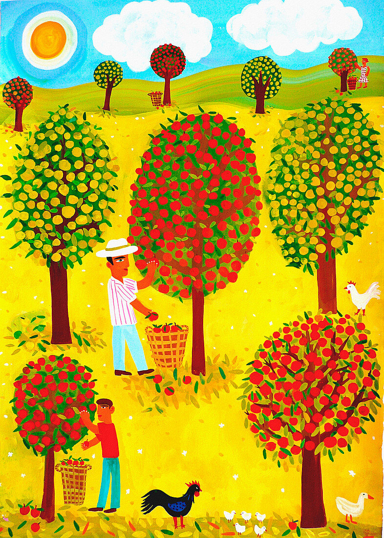 Family picking apples in orchard, illustration