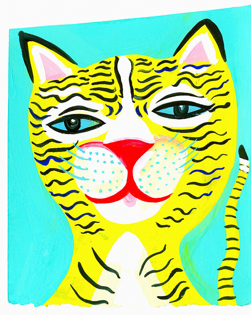 Cat, illustration