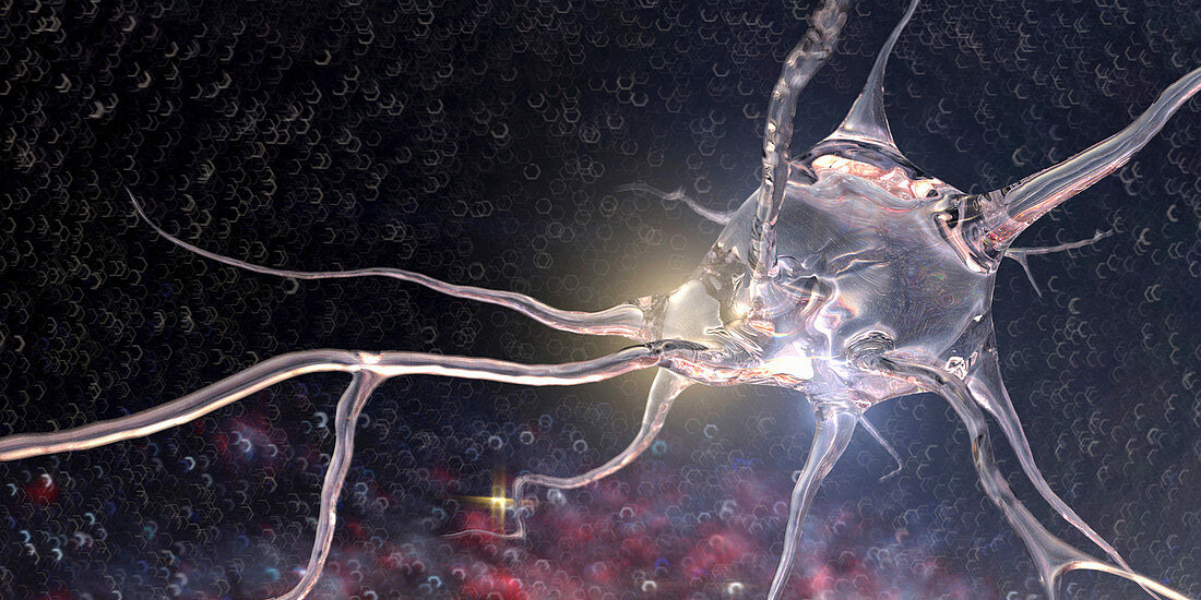 Translucent neuron, illustration