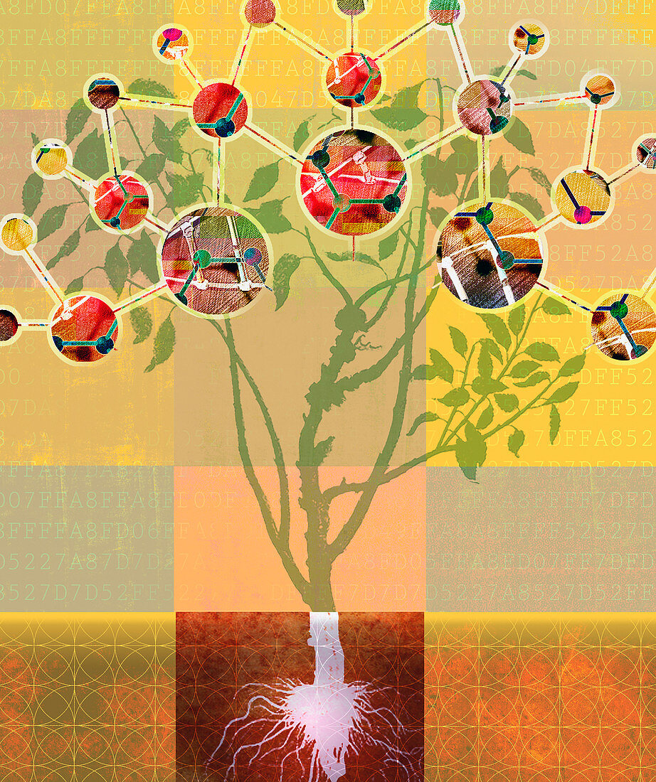 Analysing molecular structure of plant, illustration