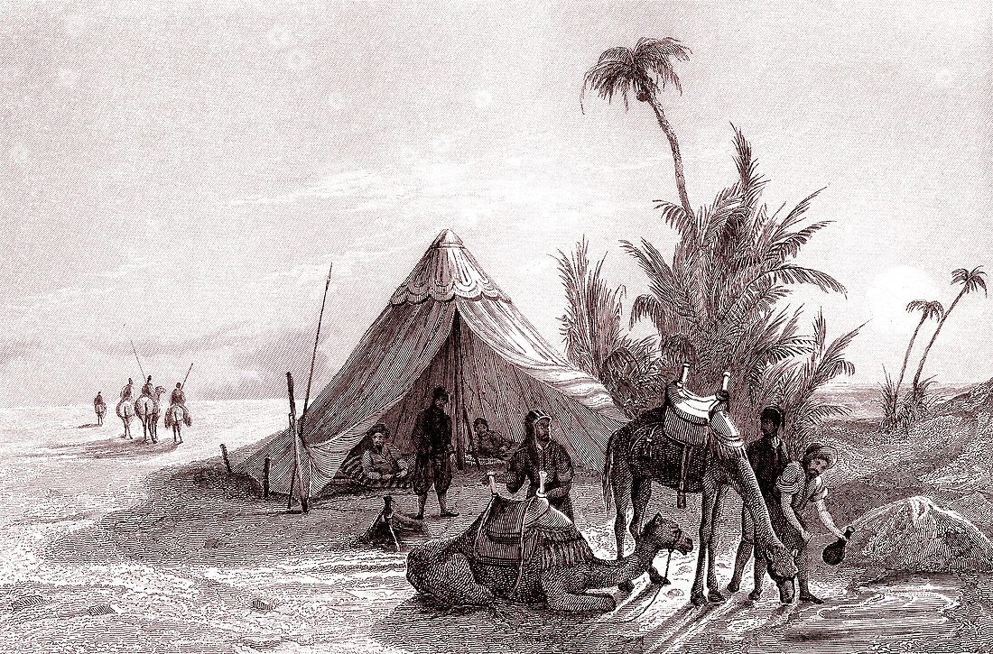 Desert oasis, 19th century