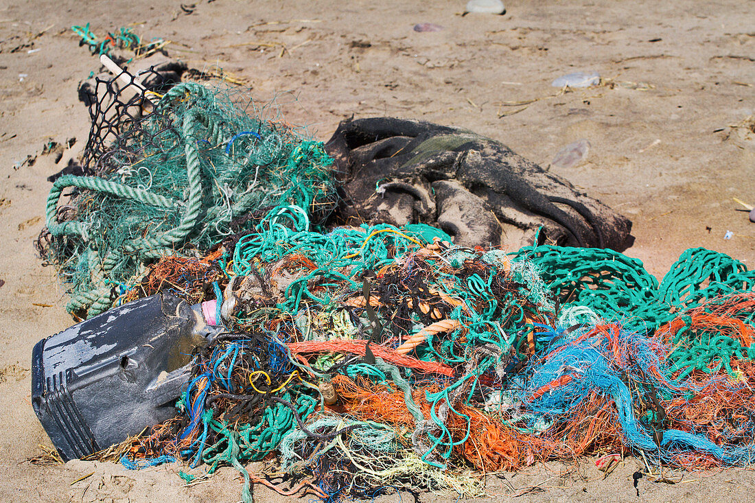 Discarded fishing gear