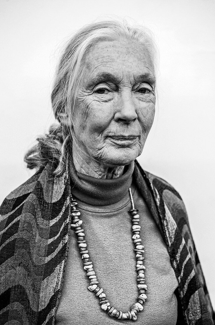 Jane Goodall, British primatologist