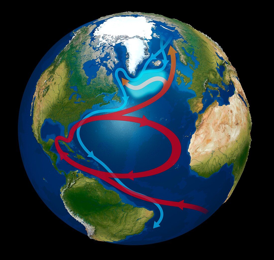North Atlantic warming hole, illustration