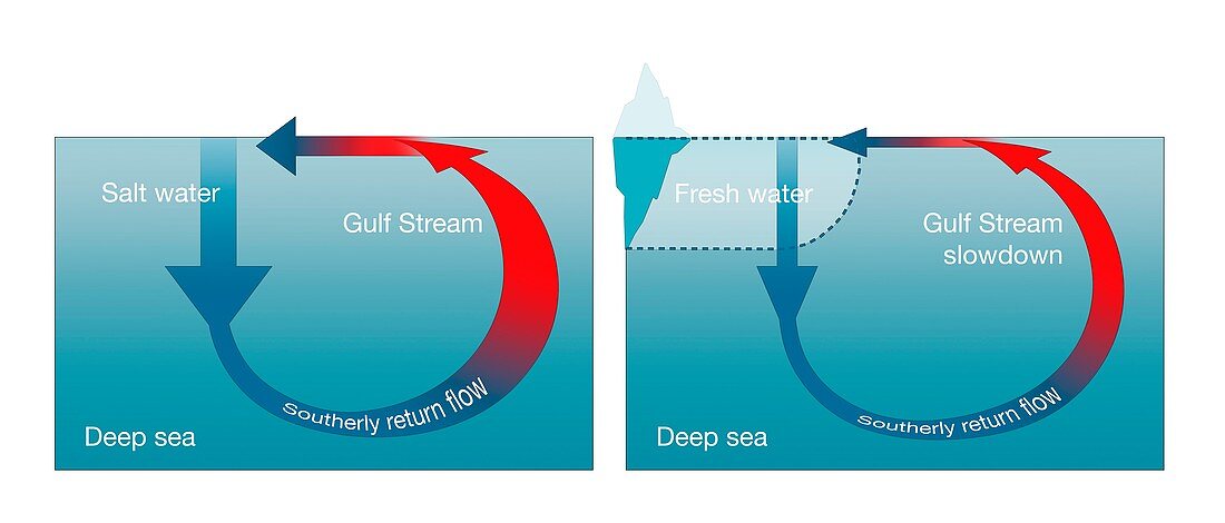 Gulf Stream disruption, illustration