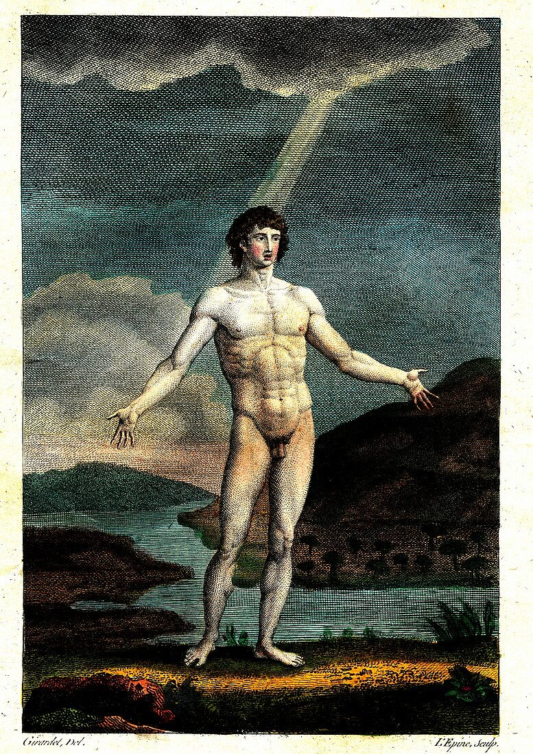 Physical and moral system of man, 18th century