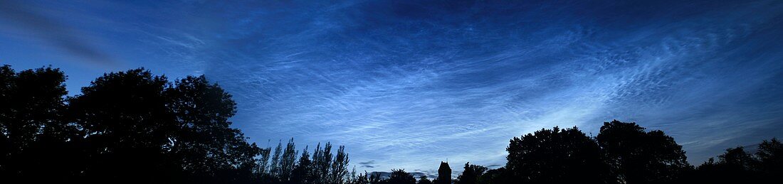Noctilucent clouds over trees