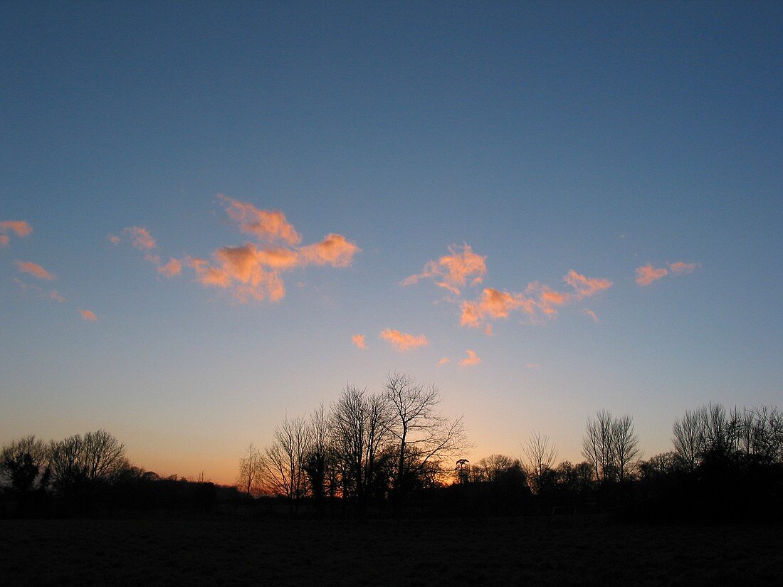 Cumulus fractus clouds at sunset