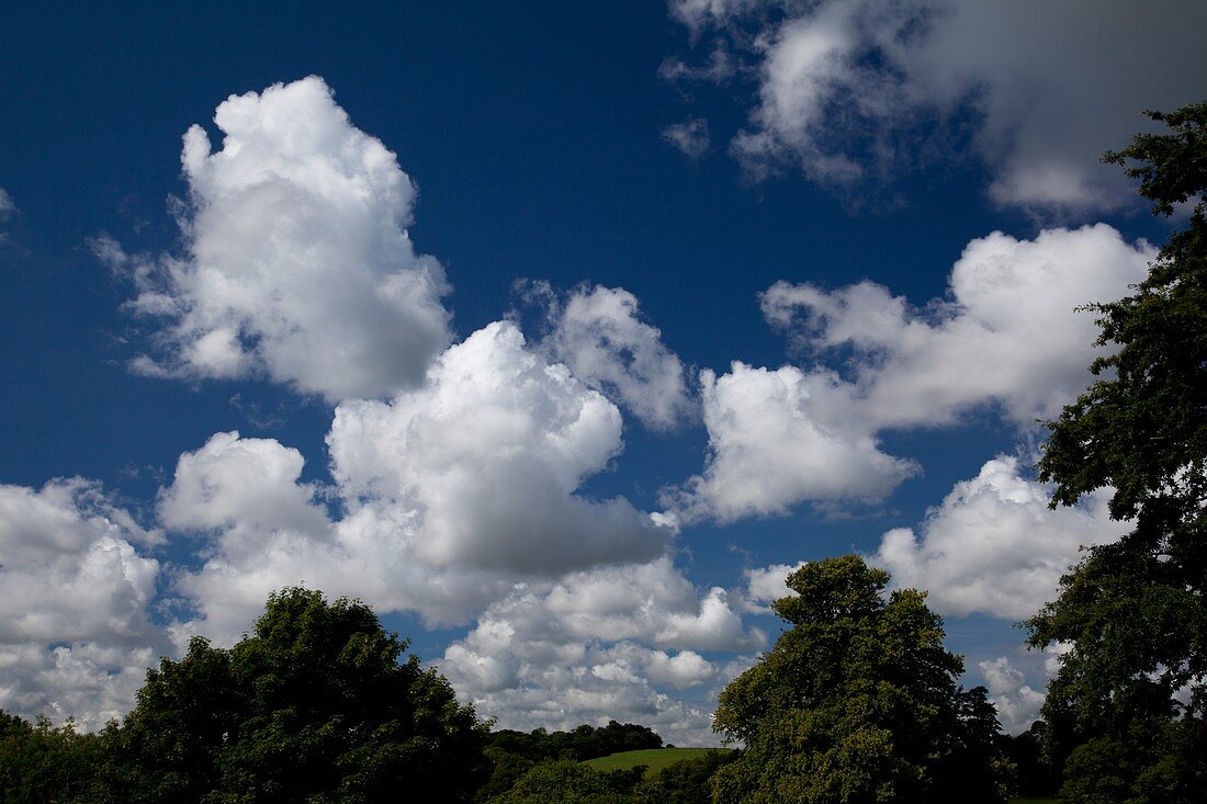 Cumulus humilis clouds in summer