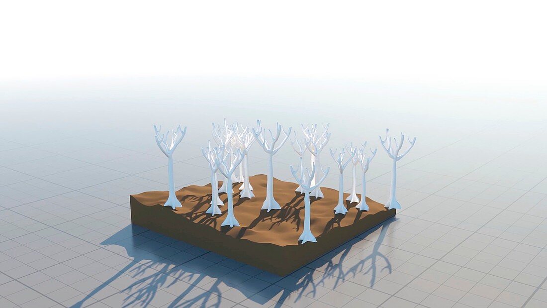 Deforestation, conceptual illustration