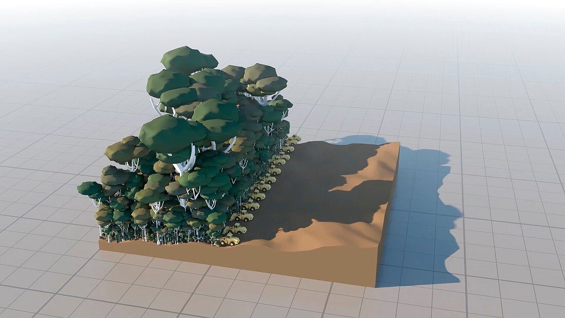 Deforestation, conceptual illustration