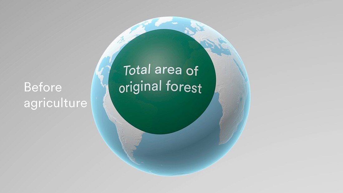 Area of world's forests before agriculture
