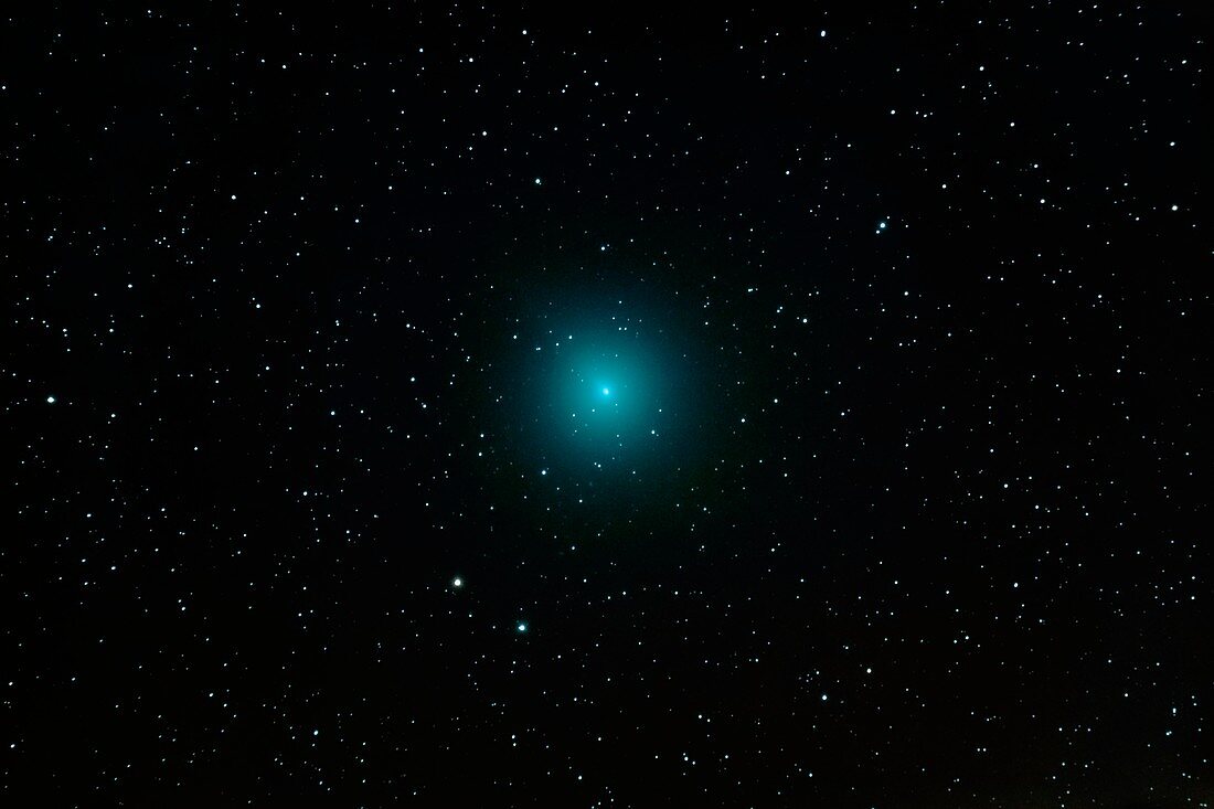 Comet 46P Wirtanen, November 2018