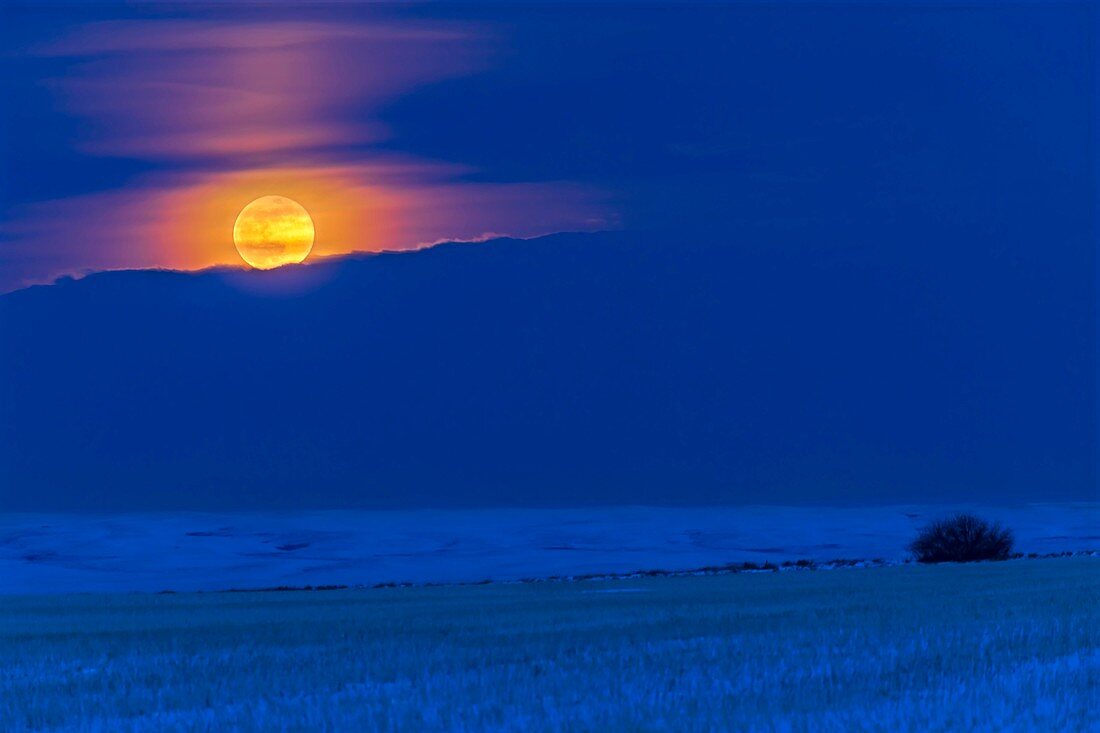 Rising of the super snow Moon